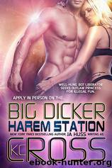 Big Dicker by J.A. Huss