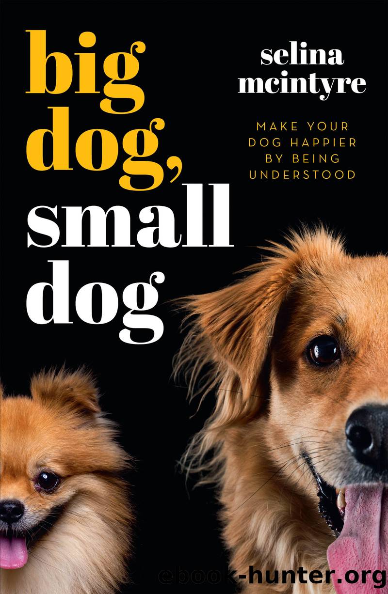 Big Dog Small Dog by Selina McIntyre