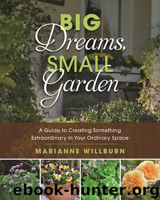 Big Dreams, Small Garden by Marianne Willburn