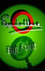 Big Foot by Edgar Wallace