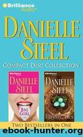 Big Girl  Family Ties by Steel Danielle