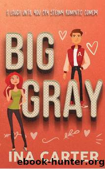 Big Gray: A Romantic Comedy (In The Dark Series Book 1) by Ina Carter