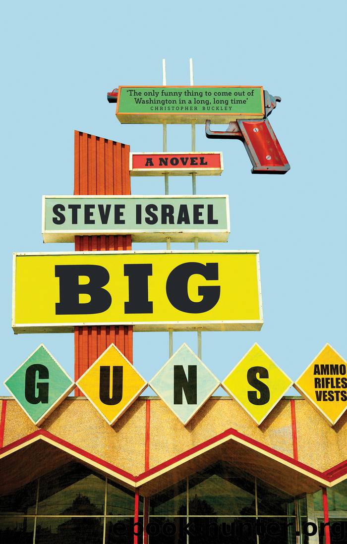 Big Guns by Steve Israel