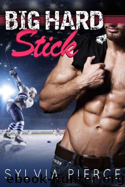 Big Hard Stick (Buffalo Tempest Hockey Book 3) by Sylvia Pierce