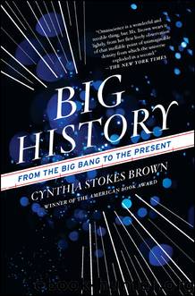 Big History by Cynthia Stokes Brown