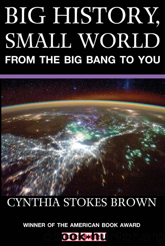 Big History, Small World: From the Big Bang to You by Stokes Brown Cynthia