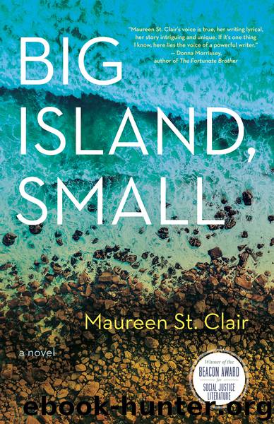 Big Island, Small by Maureen St. Clair