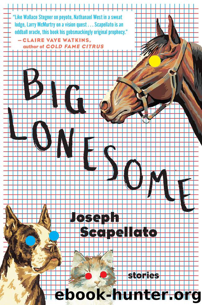 Big Lonesome by Joseph Scapellato
