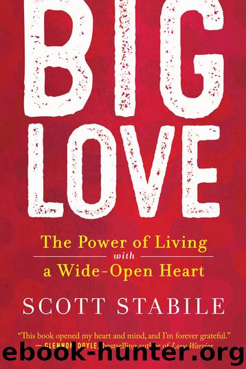 Big Love by Scott Stabile