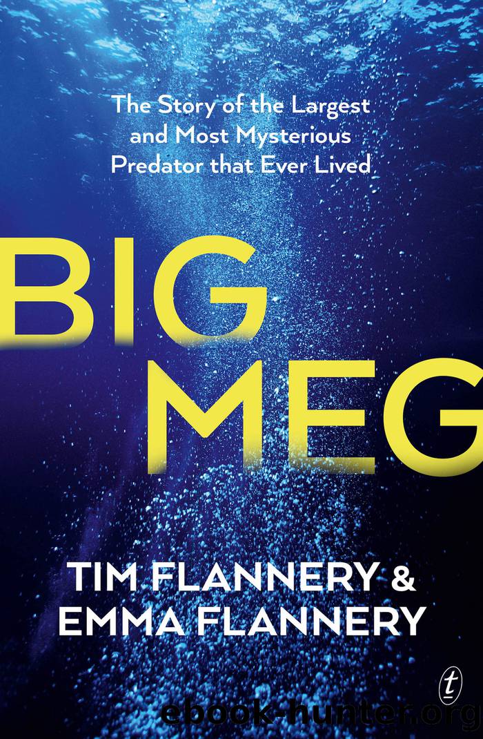 Big Meg by Tim Flannery & Emma Flannery