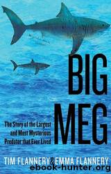 Big Meg: The Story of the Largest and Most Mysterious Predator That Ever Lived by Flannery Tim