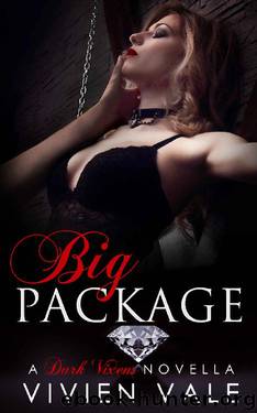 Big Package_A Dark Vixens Novella by Vivien Vale