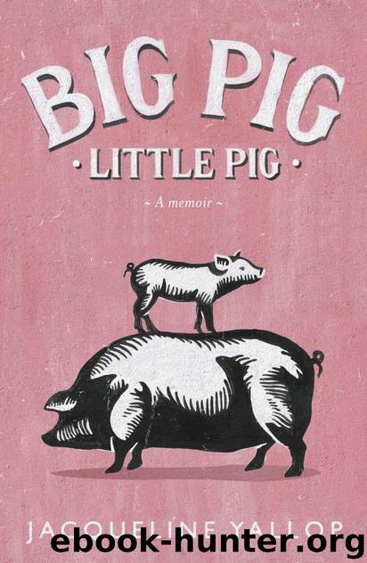 Big Pig, Little Pig: A Tale of Two Pigs in France by Yallop Jacqueline