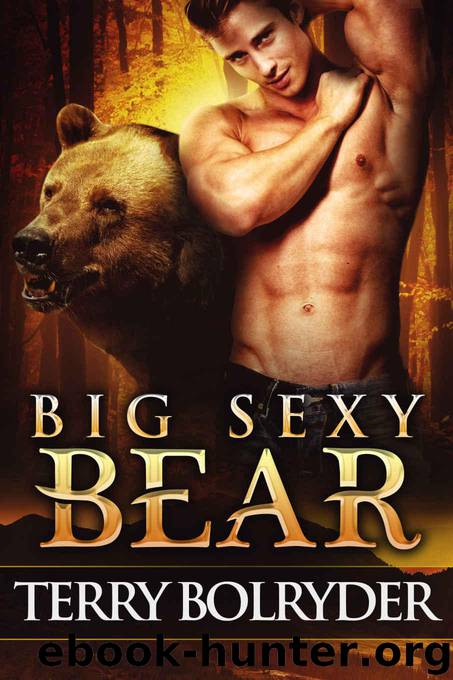 Big Sexy Bear (Soldier Bears Book 2) by Bolryder Terry