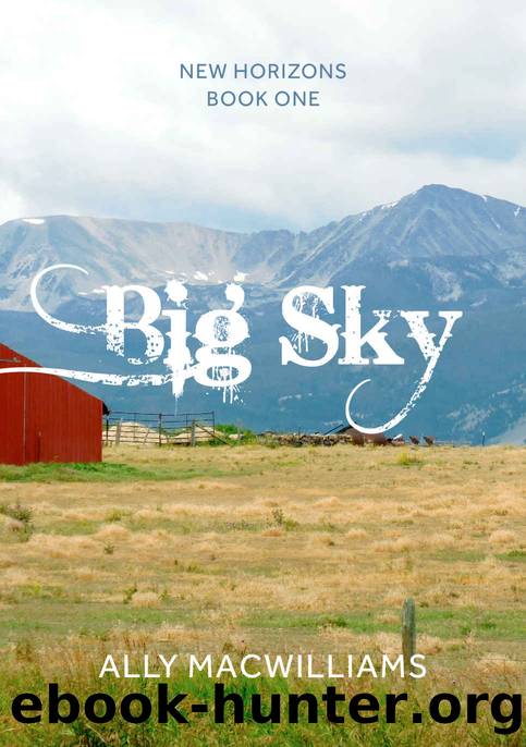 Big Sky (New Horizons Book 1) by Ally MacWilliams