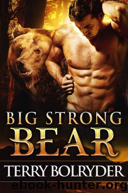 Big Strong Bear (Soldier Bears Book 3) by Bolryder Terry