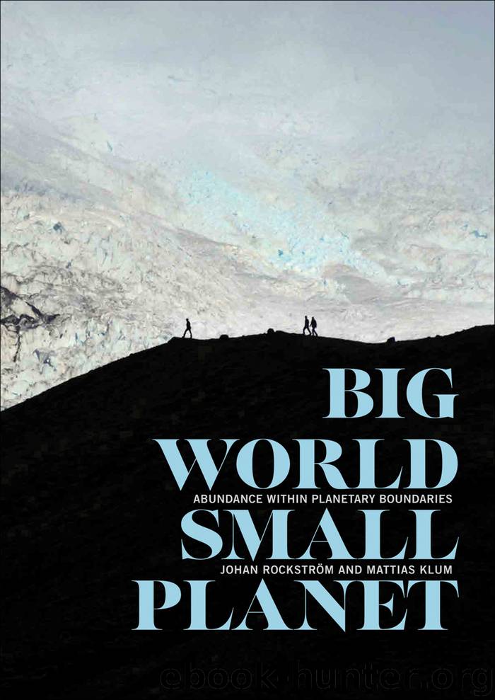 Big World, Small Planet by Johan Rockström & Mattias Klum