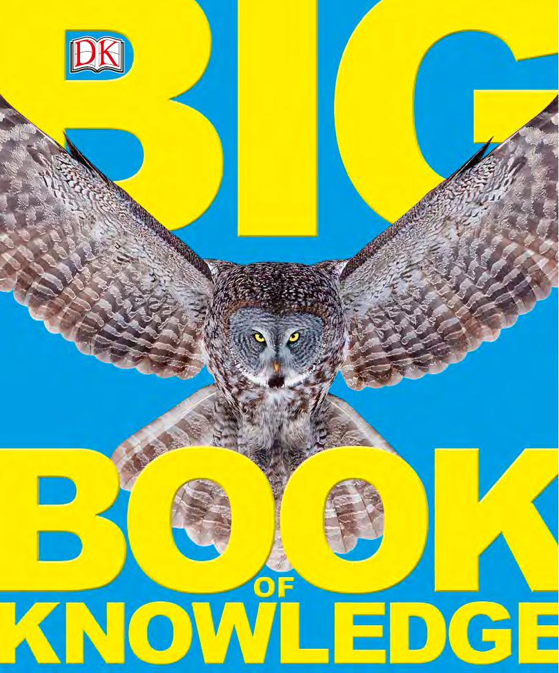 Big book Of knowledge by DK ;