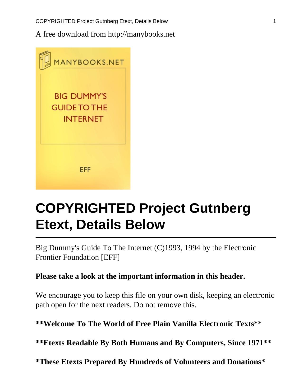Big dummy's guide to the Internet by Adam Gaffin; Mitch Kapor; Steve Cisler; Electronic Frontier Foundation