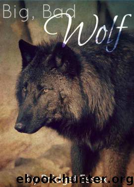 Big, Bad Wolf by Essex Bridget