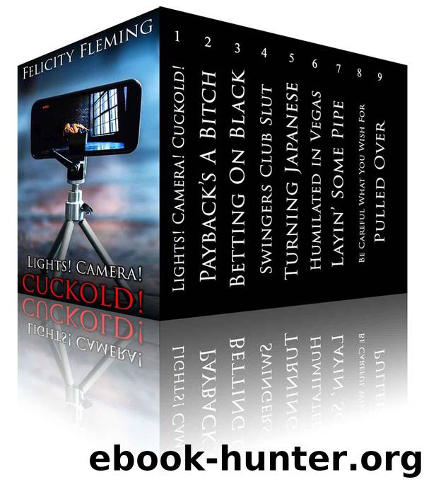 Big, Black Bundle #2: 9 Stories of Bareback Interracial Cheating: Cuckold Erotica Super Collection by Felicity Fleming