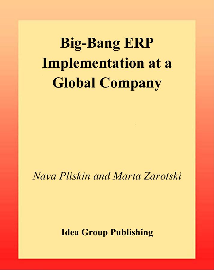 Big-Bang ERP Implementation at a Global Company by Navah Pliskin Marta Zarotski