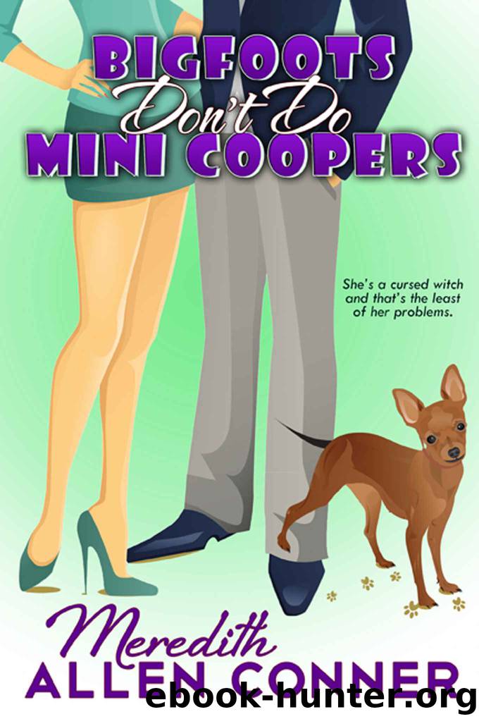 Bigfoots Don't Do Mini Coopers (Kate Storm Book 1) by Meredith Allen Conner