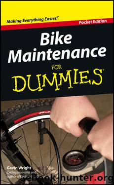 Bike Maintenance For Dummies by Gavin Wright