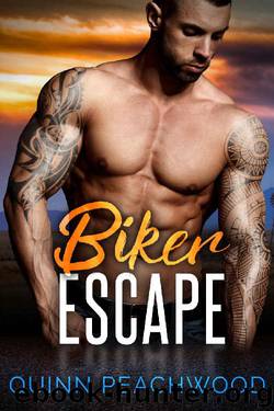 Biker Escape: Flash Fantasy no. 2 by Quinn Peachwood
