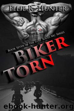 Biker Torn: The Lost Souls MC Series by Hunter Ellie R