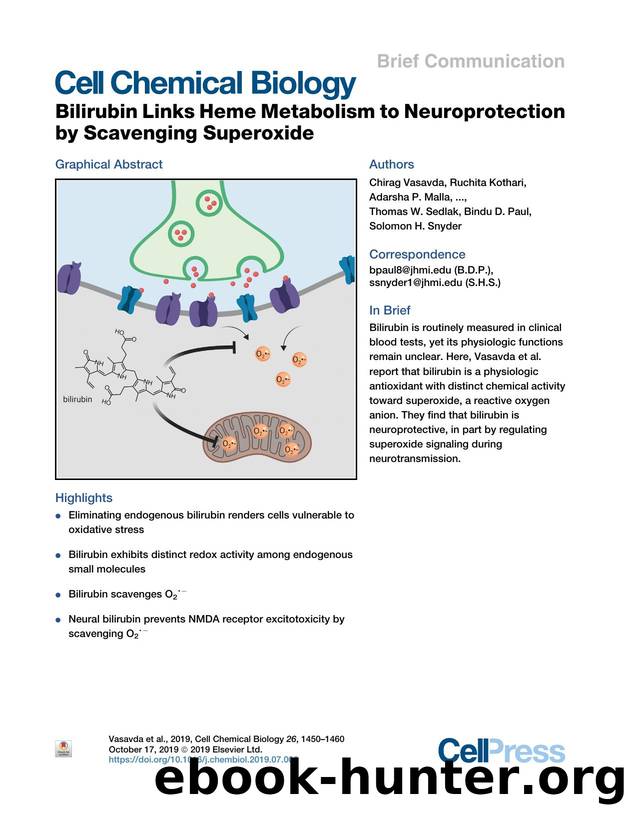Bilirubin Links Heme Metabolism to Neuroprotection by Scavenging Superoxide by unknow