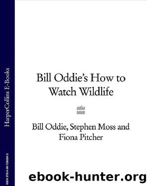 Bill Oddie's How to Watch Wildlife by Bill Oddie