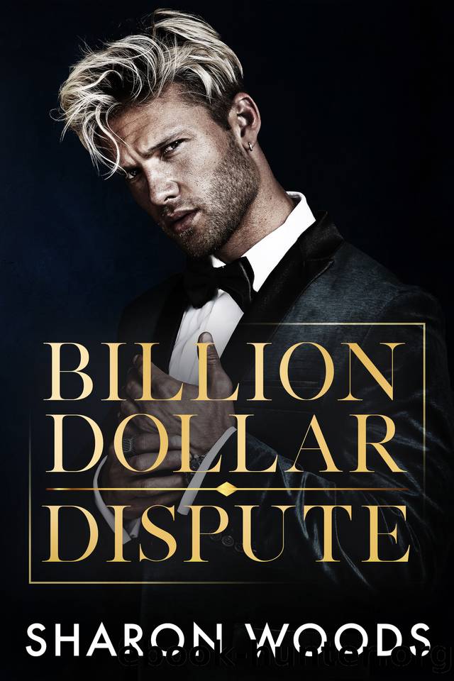 Billion Dollar Dispute: An enemies to lovers romance (The Lincoln Brothers Book 3) by Sharon Woods