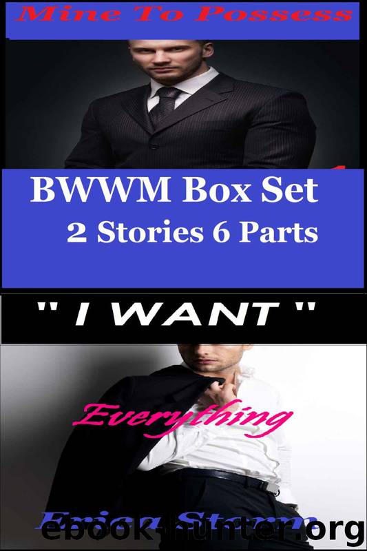 Billionaire BWWM Box Set: Mine to Possess 1 - 3 and I Want Everything 1 - 3 by Erica Storm