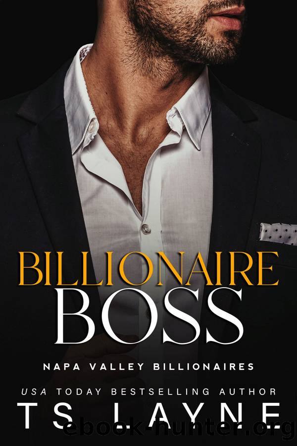 Billionaire Boss by TS Layne