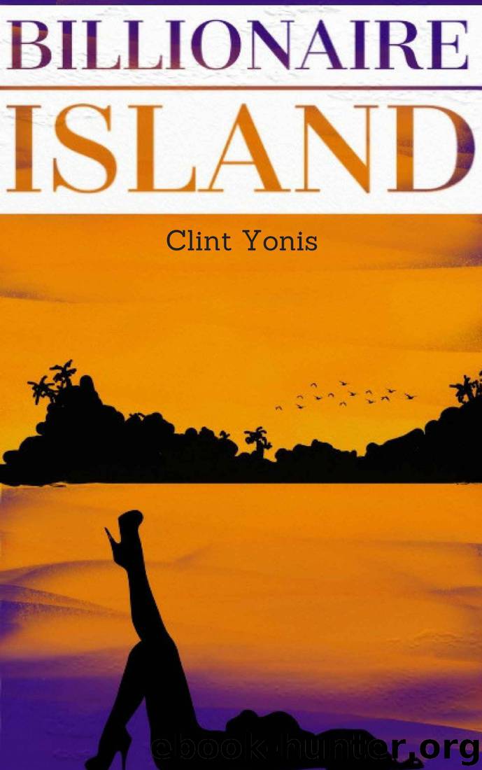 Billionaire Island by Clint Yonis