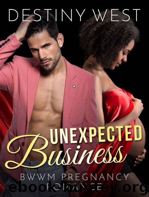 Billionaire Romance: Interracial Romance BWWM: Unexpected Business (African American Pregnancy Romance Short Stories) (BBW Fun Contemporary Multicultural Mature Young Adult Love and Romance Books) by Destiny West