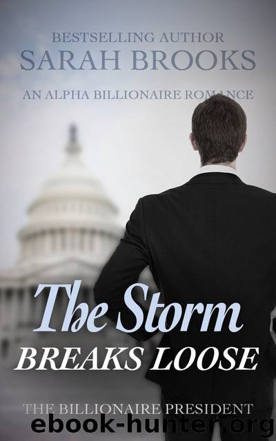 Billionaire Romance: The Storm BREAKS LOOSE: An Alpha Billionaire Romance (The Billionaire President Book 12) by Sarah J. Brooks