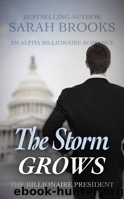 Billionaire Romance: The Storm GROWS: An Alpha Billionaire Romance (The Billionaire President Book 14) by Sarah J. Brooks