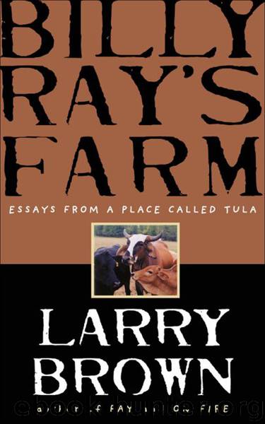 Billy Ray's Farm by Larry Brown