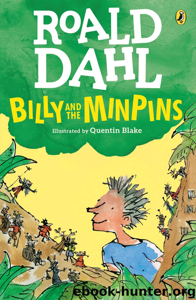 Billy and the Minpins by Roald Dahl & Quentin Blake