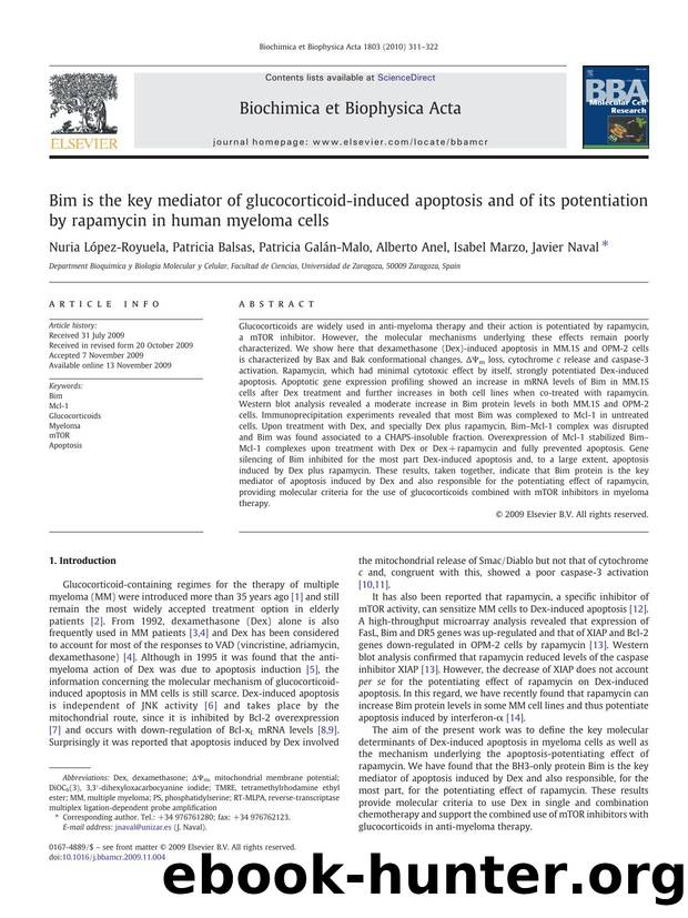 Bim is the key mediator of glucocorticoid-induced apoptosis and of its potentiation by rapamycin in human myeloma cells by unknow