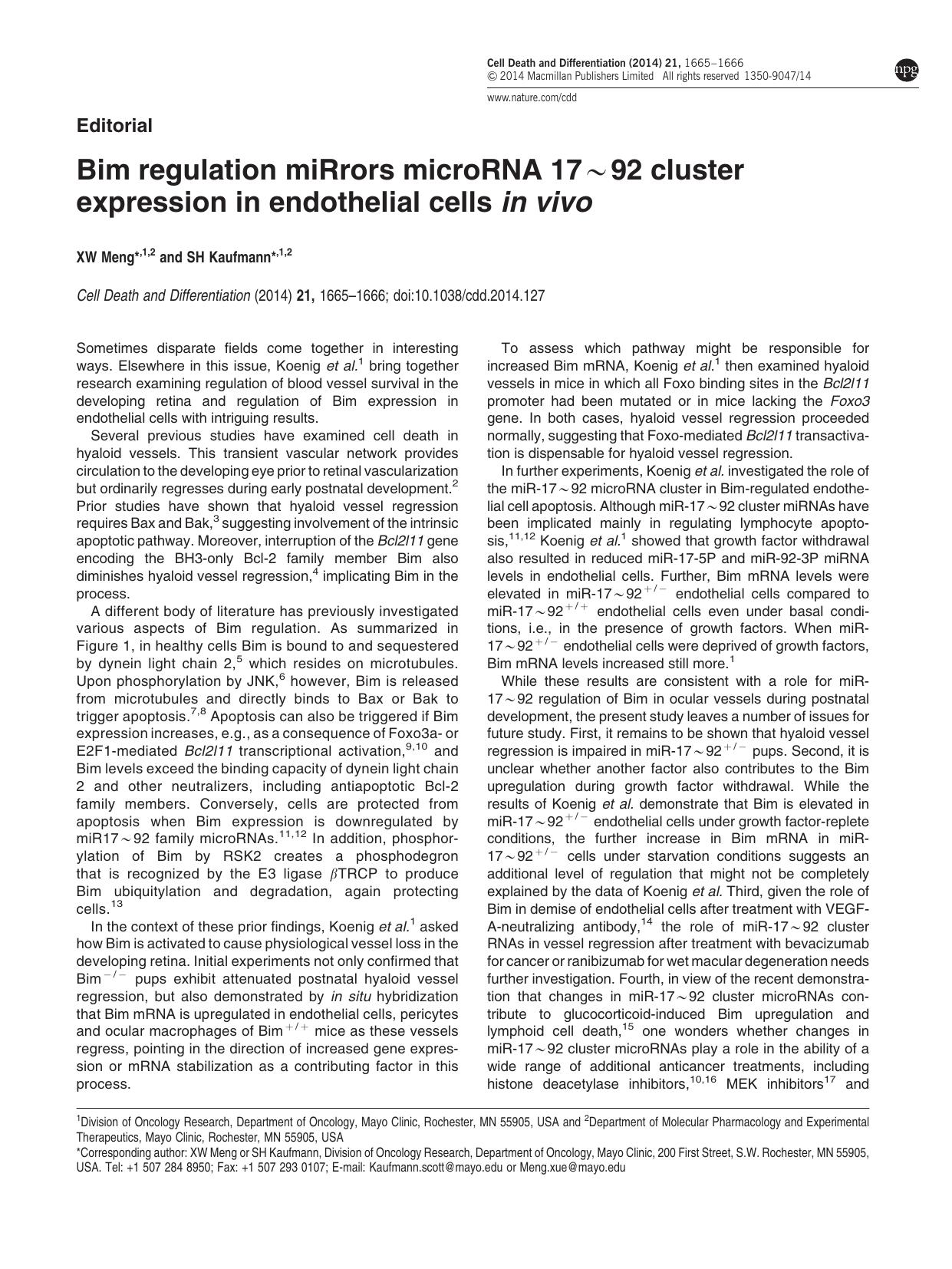 Bim regulation miRrors microRNA 17&sim;92 cluster expression in endothelial cells in vivo by X W Meng & S H Kaufmann