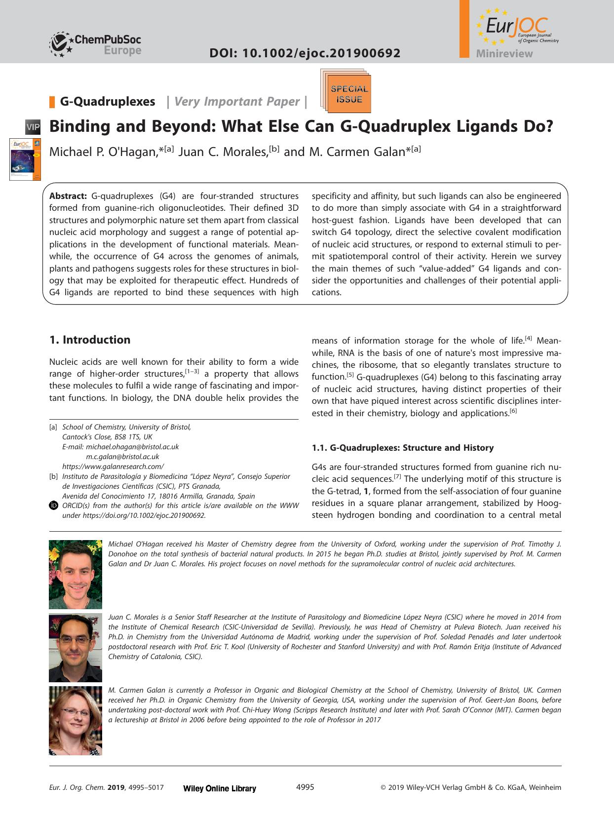 Binding and Beyond: What Else Can G‐Quadruplex Ligands Do? by Unknown