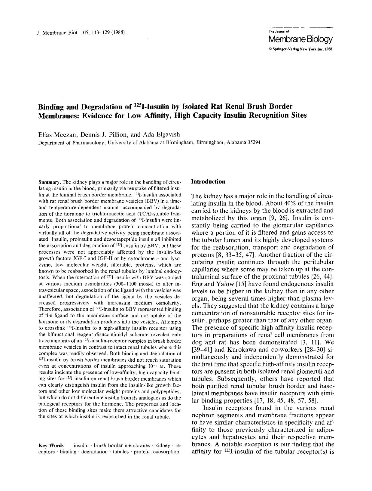 Binding and degradation of <Superscript>125 <Superscript>I-insulin by isolated rat renal brush border membranes: Evidence for low affinity, high capacity insulin recognition sites by Unknown