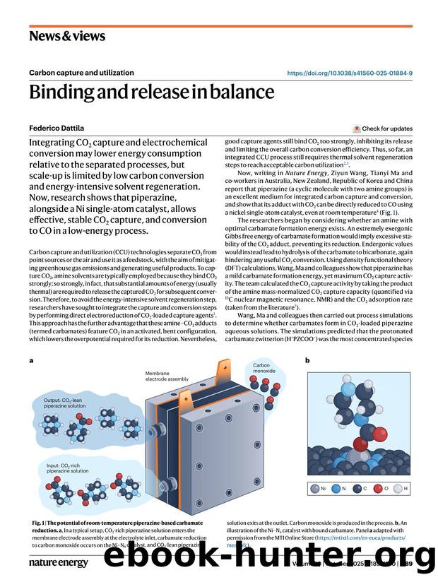Binding and release in balance by Federico Dattila