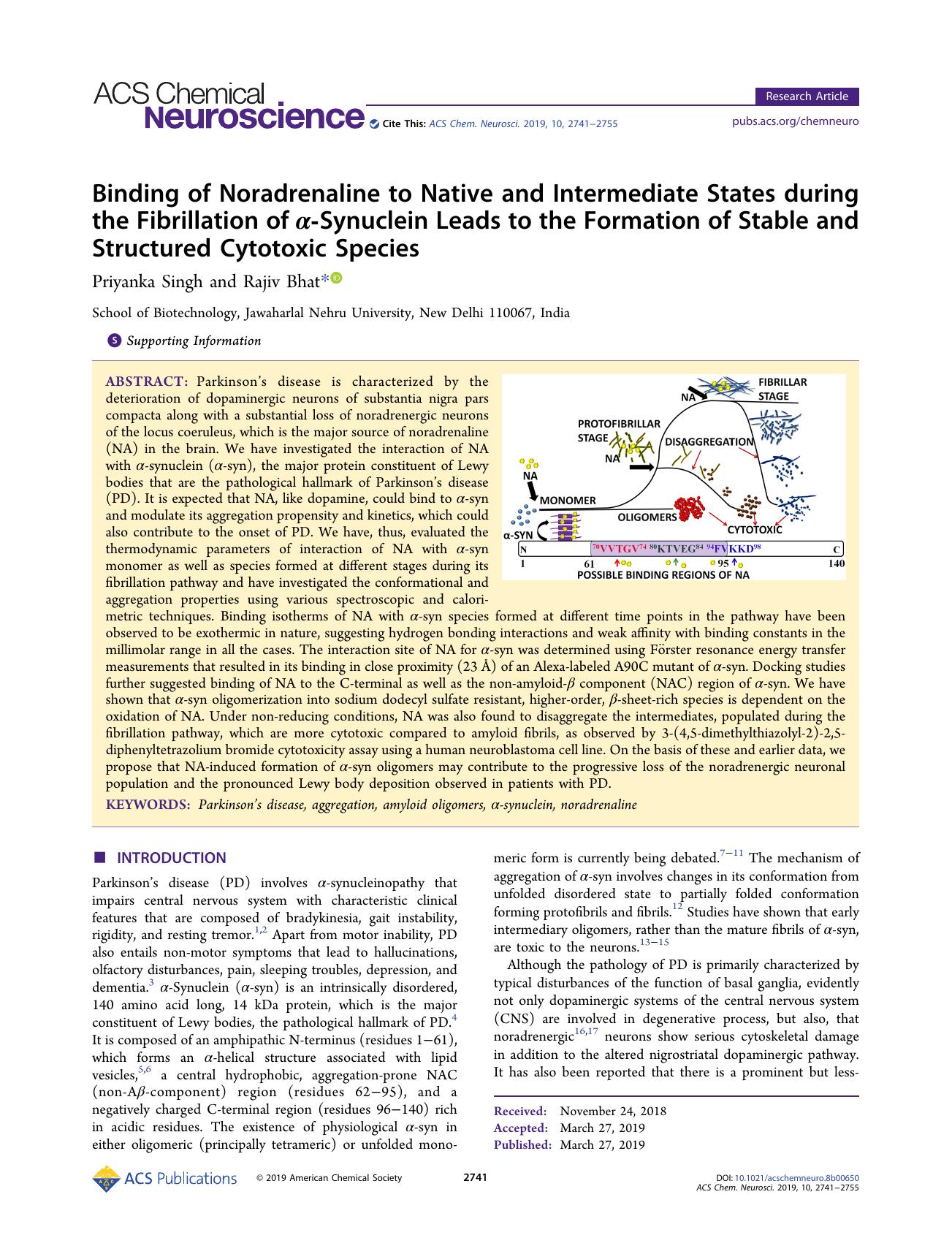 Binding of Noradrenaline to Native and Intermediate States during the Fibrillation of Î±-Synuclein Leads to the Formation of Stable and Structured Cytotoxic Species by Priyanka Singh and Rajiv Bhat