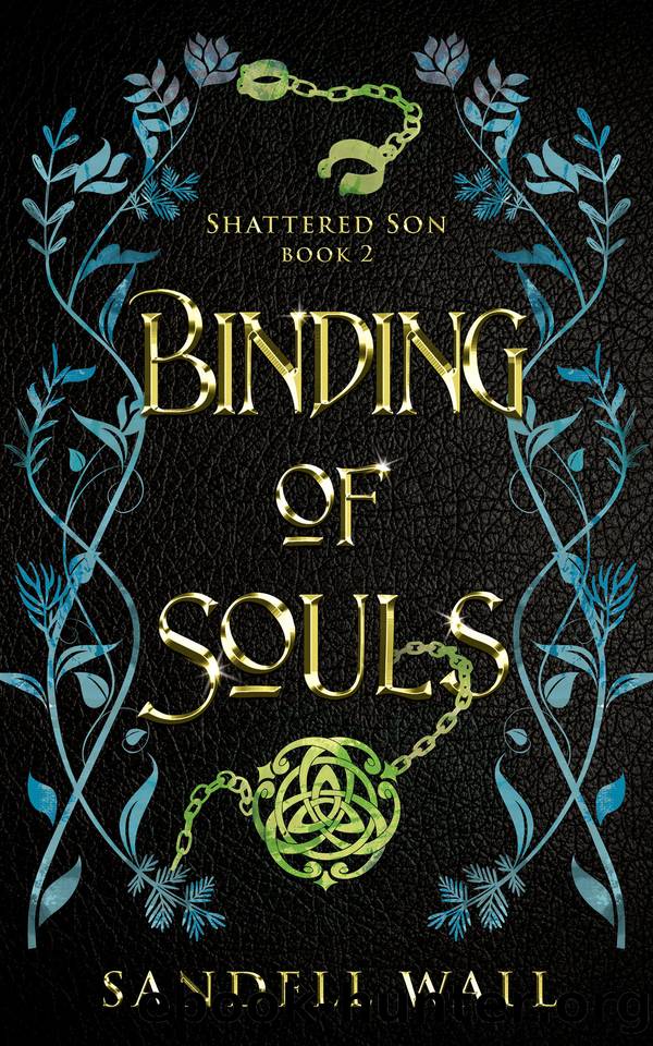 Binding of Souls (Shattered Son Book 2) by Sandell Wall