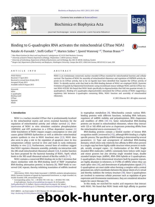 Binding to G-quadruplex RNA activates the mitochondrial GTPase NOA1 by Natalie Al-Furoukh & Steffi Goffart & Marten Szibor & Sjoerd Wanrooij & Thomas Braun