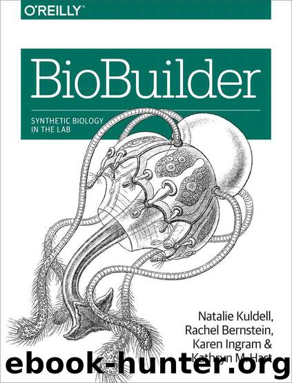 BioBuilder by Natalie Kuldell Rachel Bernstein Karen Ingram and Kathryn M. Hart